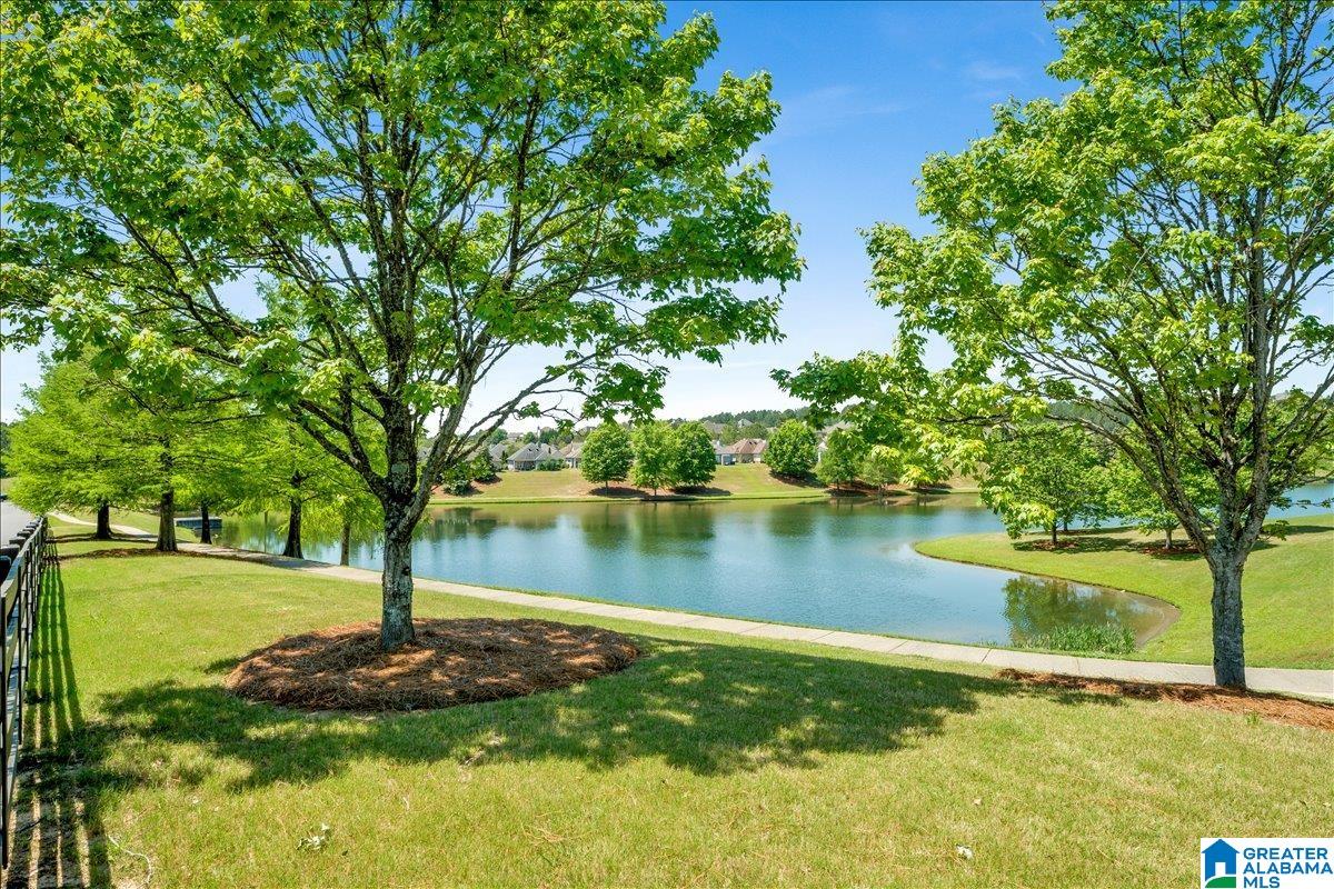 1038 Edgewater Lane Chelsea, AL 35043 - Photo 49 of 66
