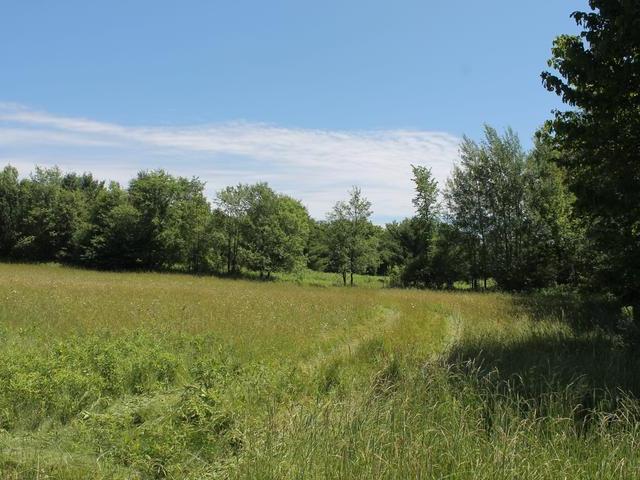 20 Clearview Road Ogema, WI 54459 - Photo 19 of 20 Gallery Image 19