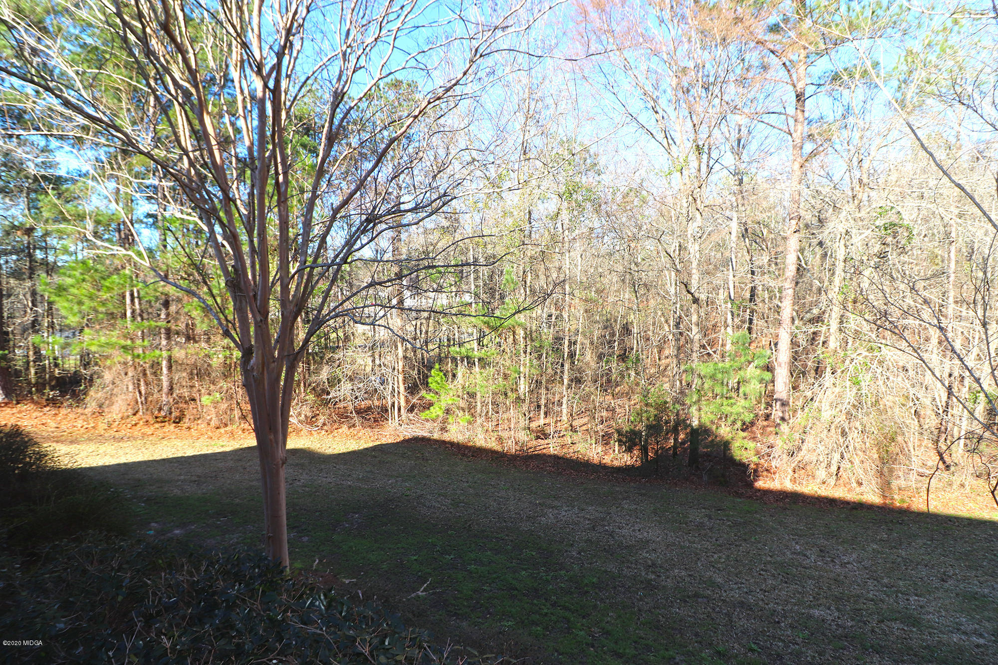 1577 Pate Road Juliette, GA 31046 - Photo 50 of 62 1577 Pate Rd - Frontyard 1