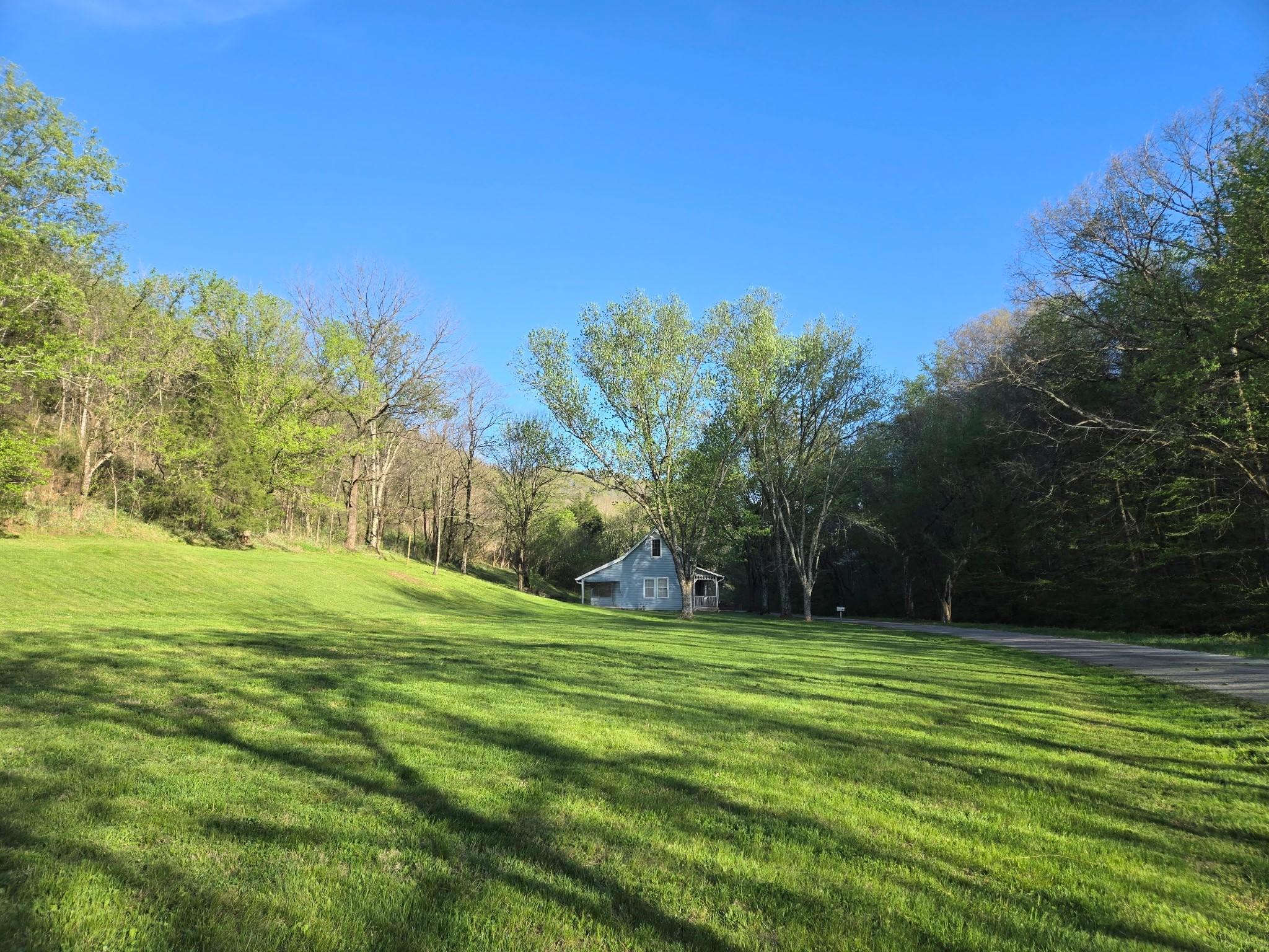 0 Dog Branch Road South Pleasant Shade, TN 37145 - Photo 11 of 14