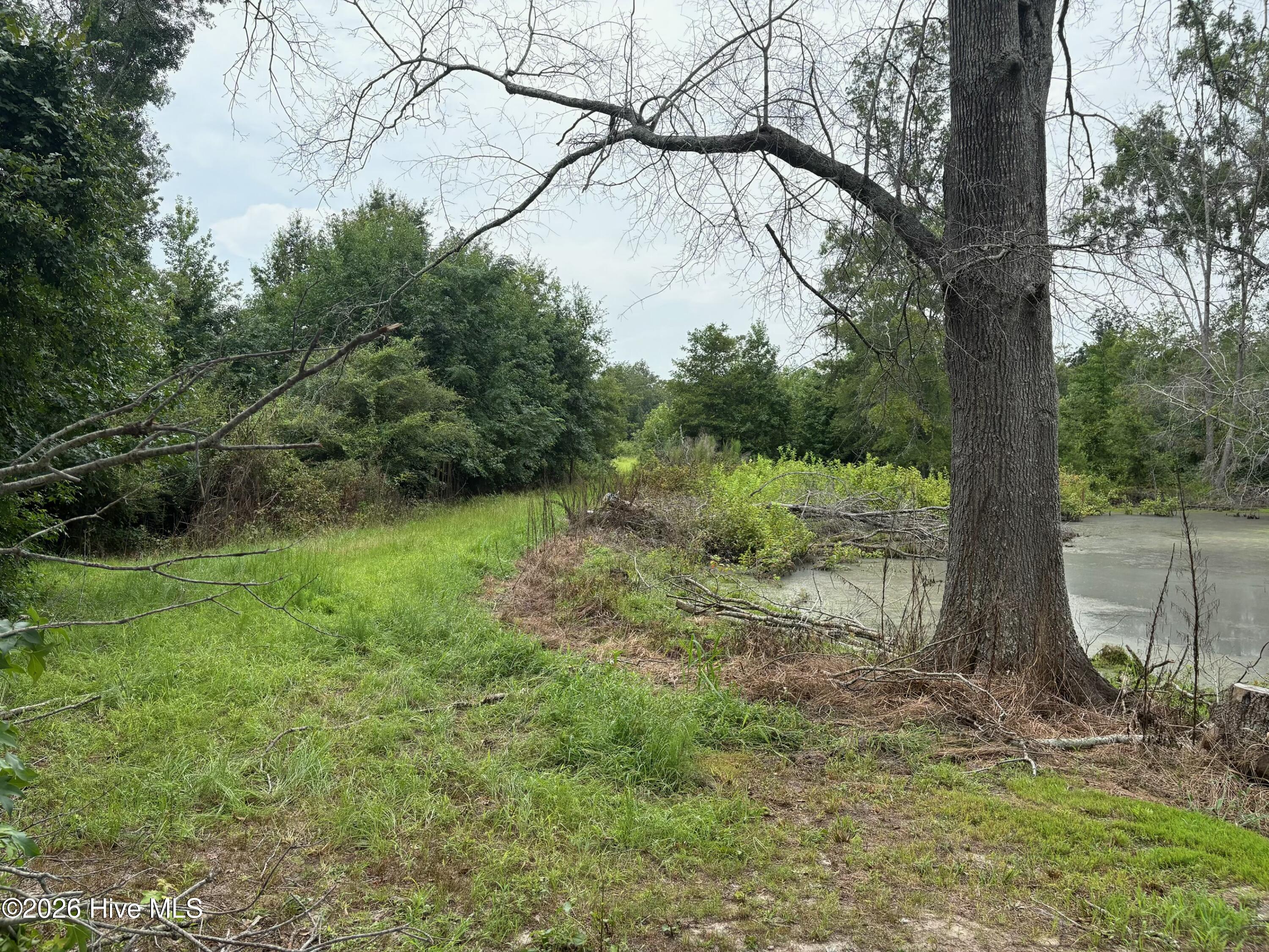 0 Poole Melton Road Blythe, GA 30805 - Photo 13 of 14 Gallery Image 13