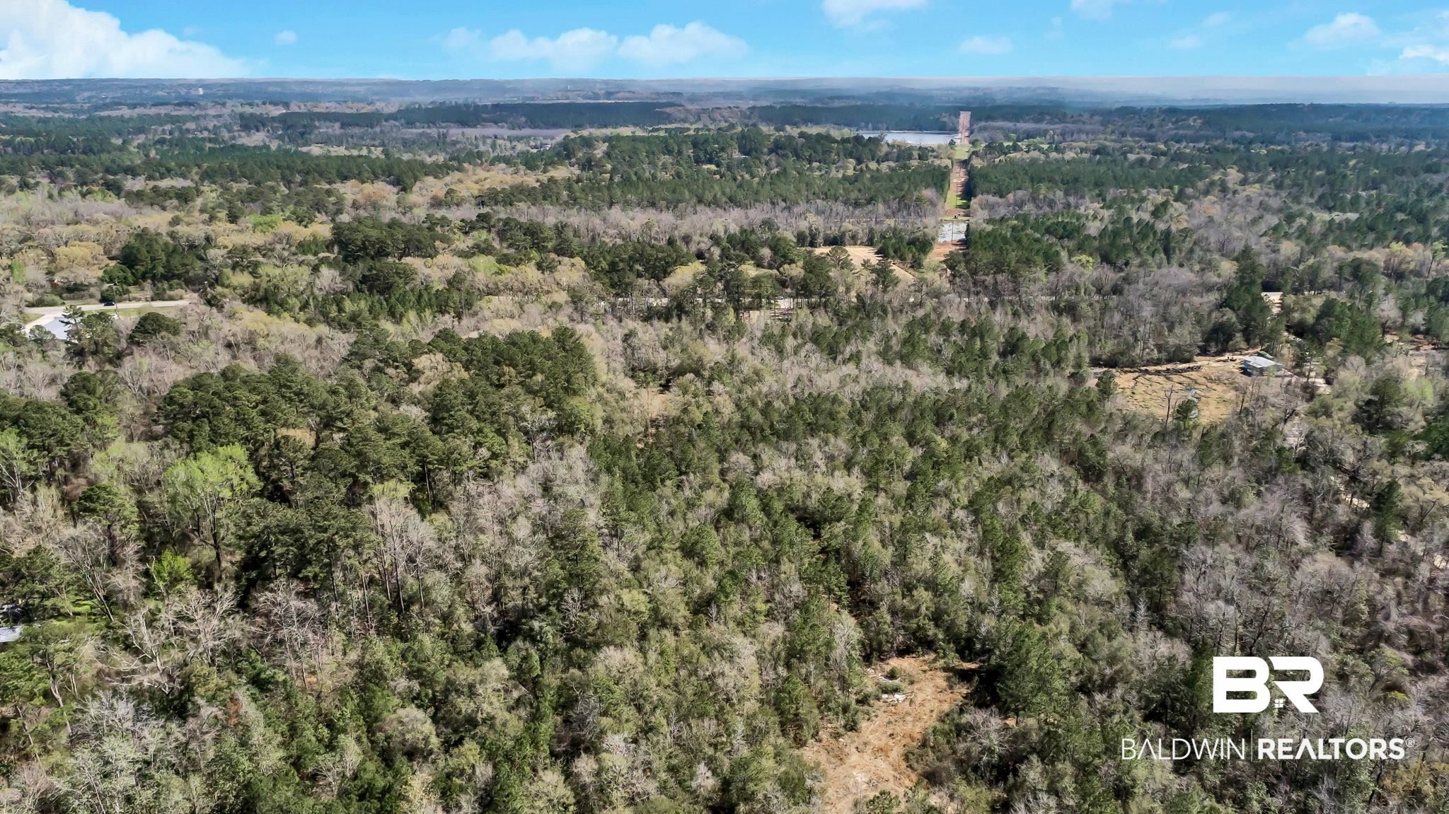 6840 Hayes Road Chunchula, AL 36521 - Photo 43 of 48