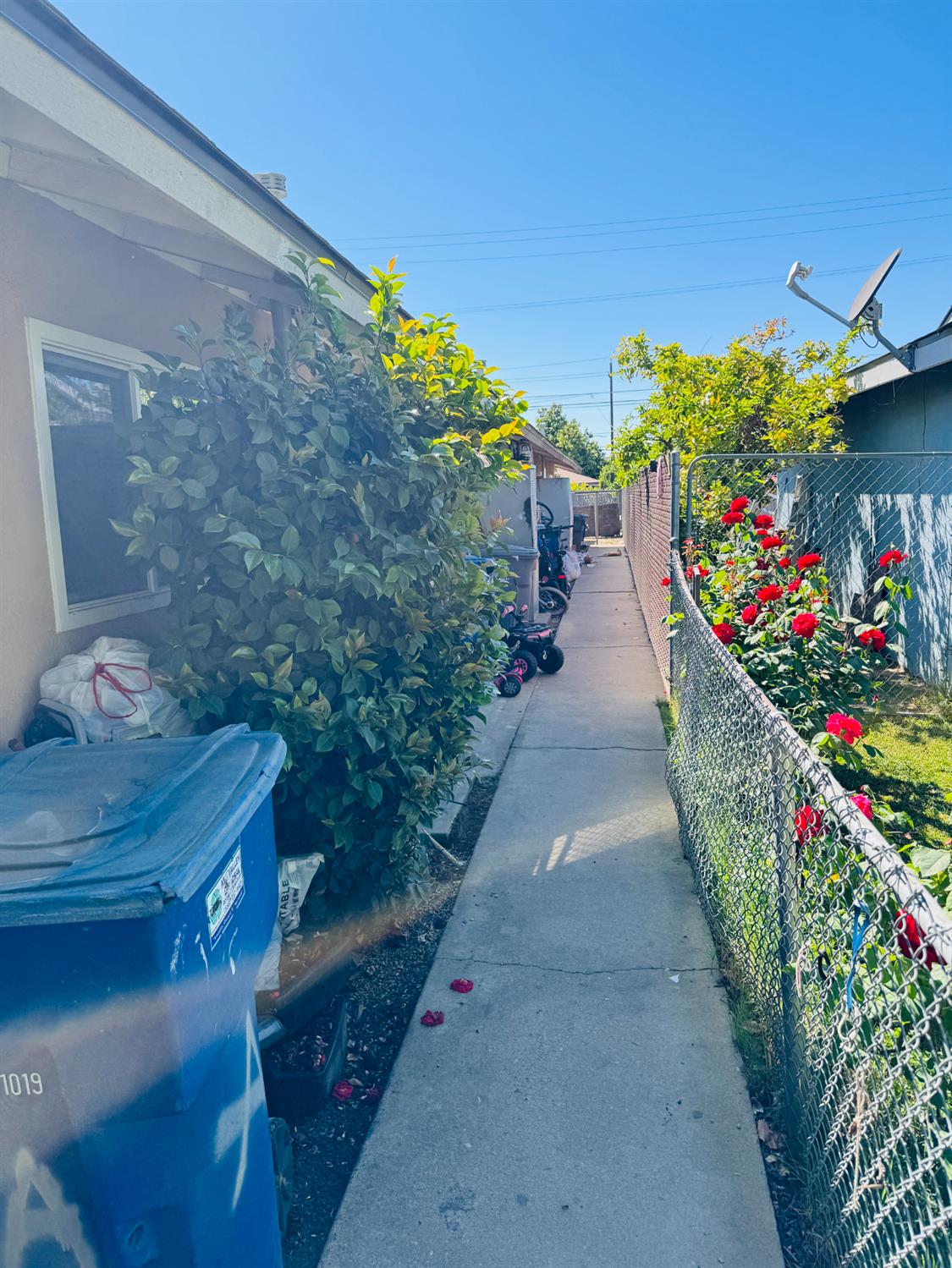 1335 Olive Avenue Sanger, CA 93657 - Photo 25 of 28