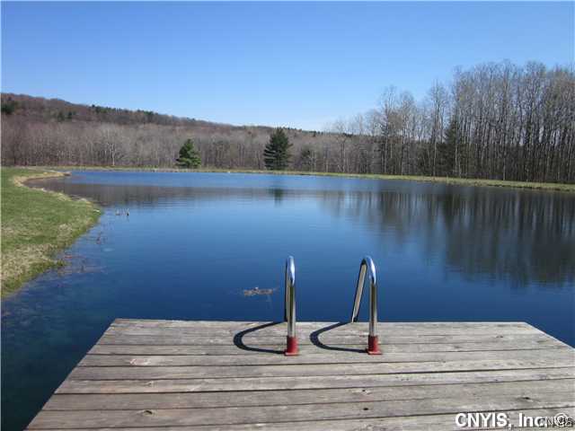 474 Bannister Road Veteran, NY 14816 - Photo 4 of 8 Exterior Front