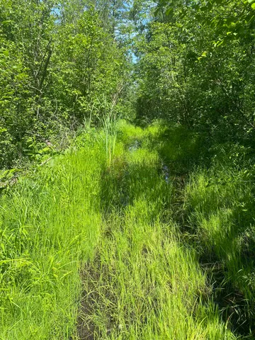 $129,900 | Swamp Road, Clintonville, WI 54929