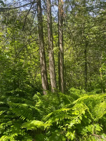 $129,900 | Swamp Road, Clintonville, WI 54929