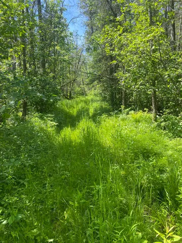 $129,900 | Swamp Road, Clintonville, WI 54929