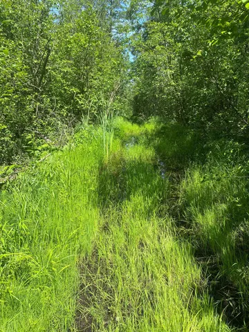 $129,900 | Swamp Road, Clintonville, WI 54929