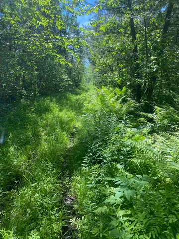 $129,900 | Swamp Road, Clintonville, WI 54929