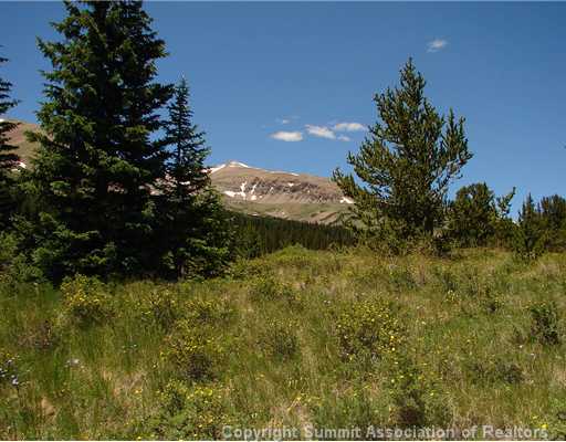 114 Cliff's Way Alma, CO 80420 - Photo 8 of 12 Land/Lot.