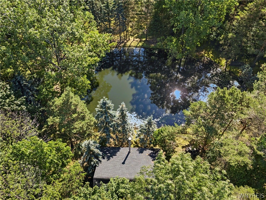10985 Griswold Road Darien, NY 14040 - Photo 42 of 50