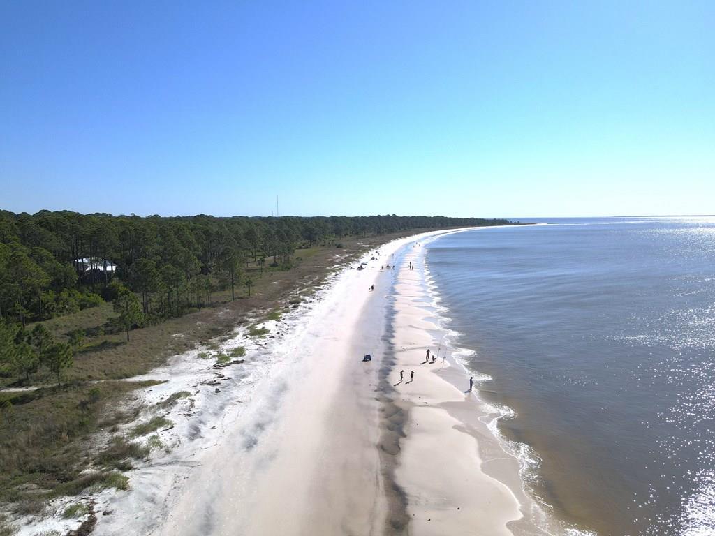 723 3 Rivers Road Carrabelle, FL 32322 - Photo 8 of 13