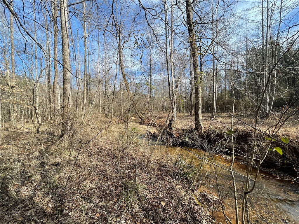 680 Nimmons Bridge Road Salem, SC 29676 - Photo 32 of 50 Gallery Image 32