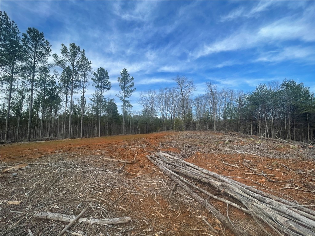 680 Nimmons Bridge Road Salem, SC 29676 - Photo 50 of 50 Gallery Image 50