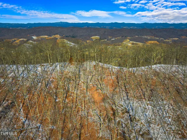 $777,777 | 1231 Vardy Blackwater, Sneedville, TN 37869