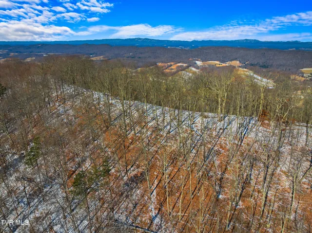 $777,777 | 1231 Vardy Blackwater, Sneedville, TN 37869