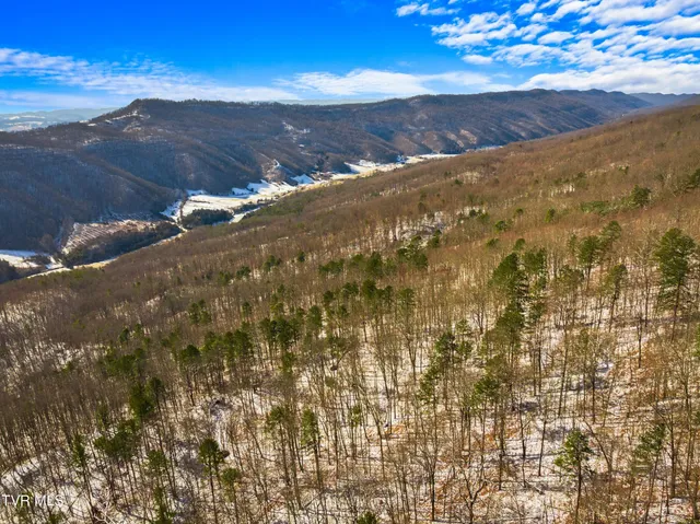 $777,777 | 1231 Vardy Blackwater, Sneedville, TN 37869