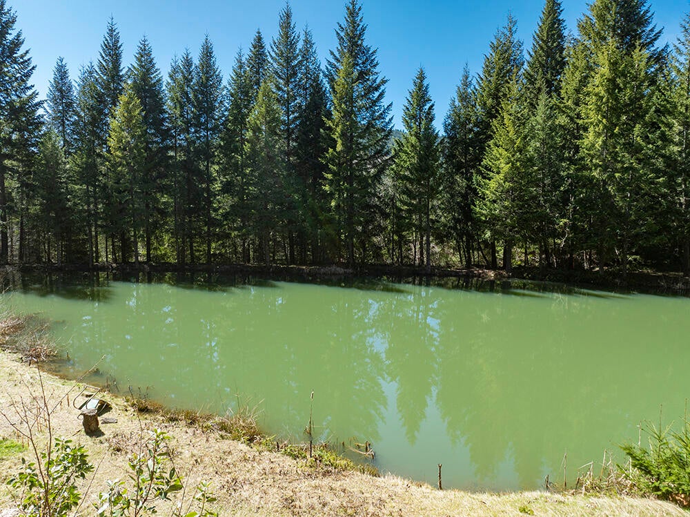 0 Jumpoff Joe Creek Road, Unit 200 Rogue River, OR 97537 - Photo 23 of 48 24