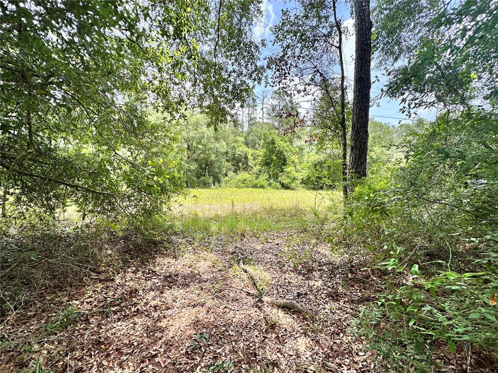 349 North County Road O'Brien, FL 32071 - Photo 3 of 13