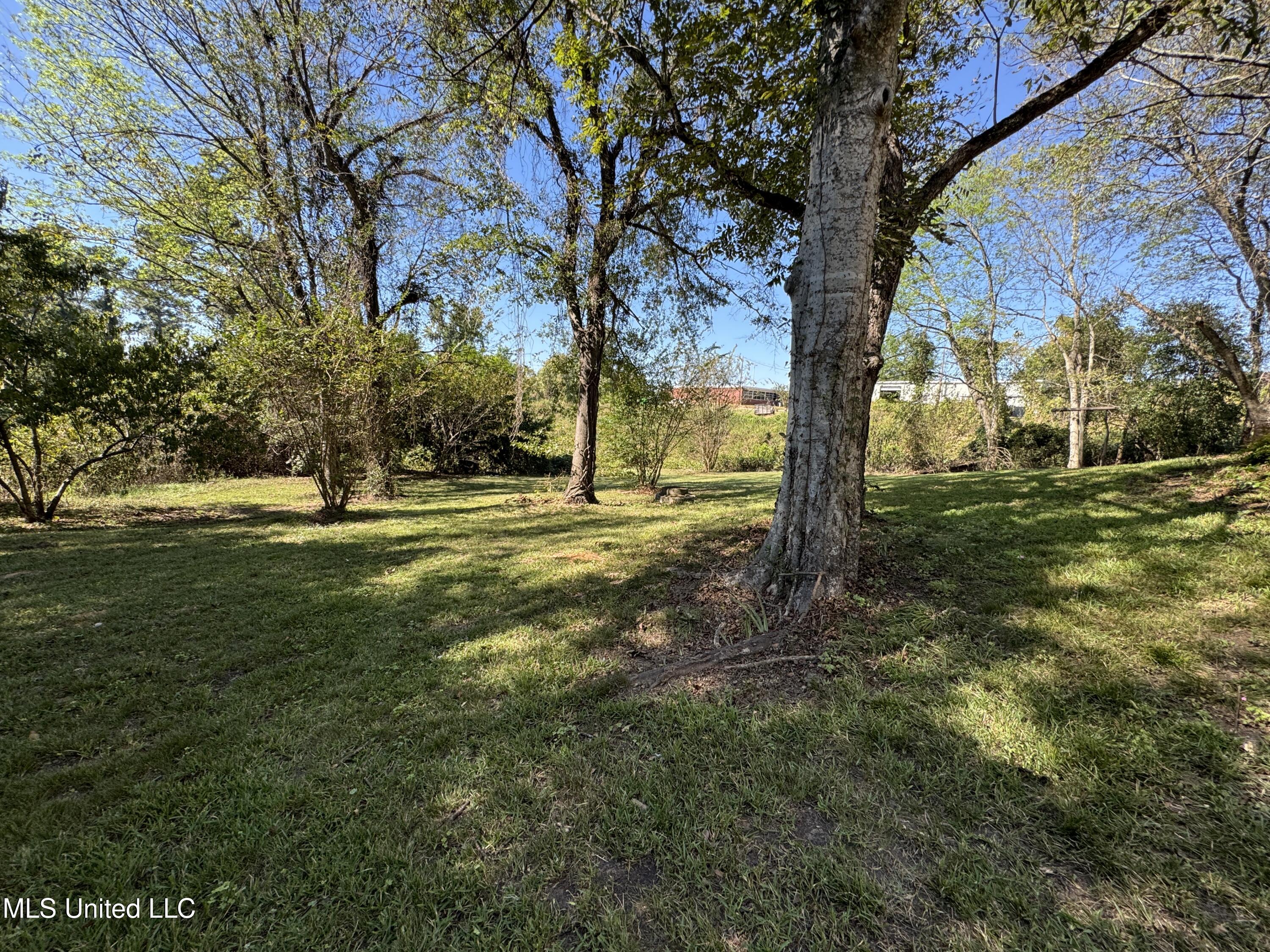 155 Main Street Raleigh, MS 39153 - Photo 44 of 46 IMG_6341