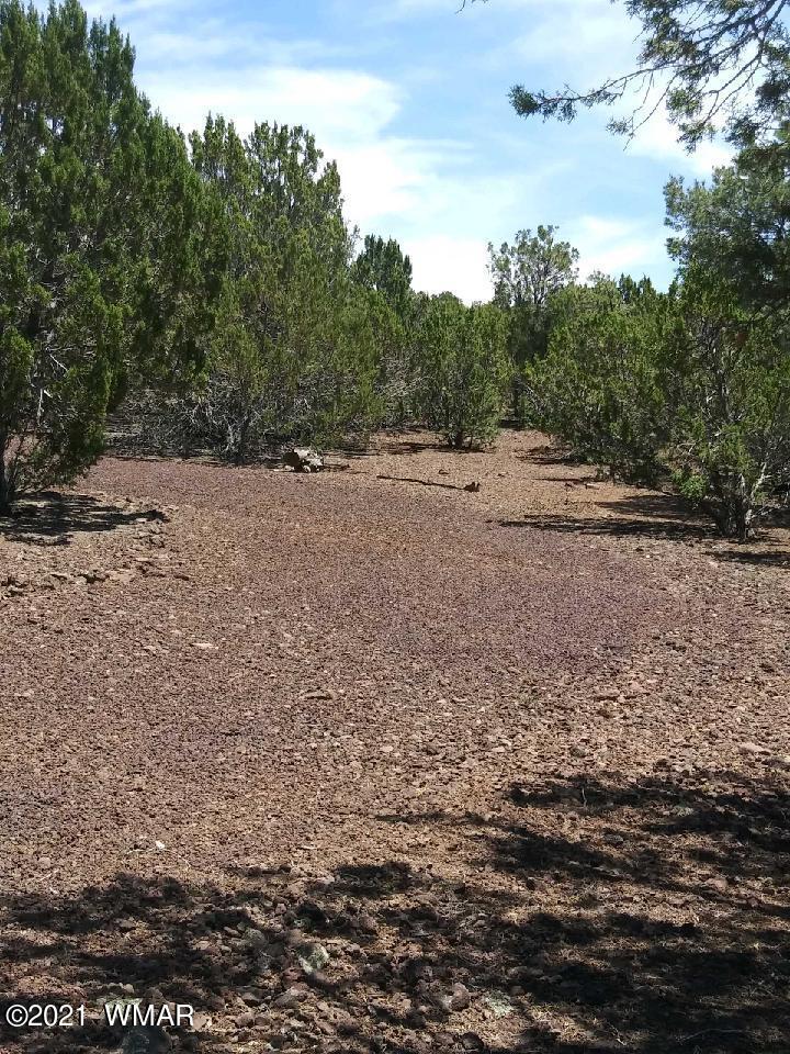 78 County Road Show Low, AZ 85901 - Photo 2 of 6