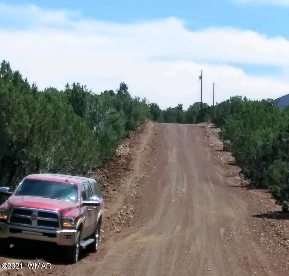78 County Road Show Low, AZ 85901 - Photo 6 of 6