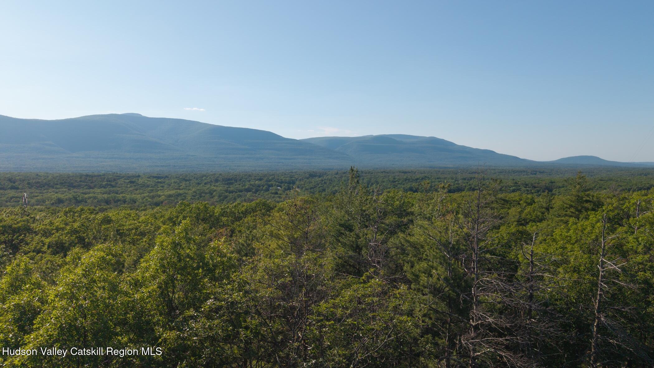 Tbd-1 Mt Airy Road Saugerties, NY 12477 - Photo 9 of 12 Mt View 5