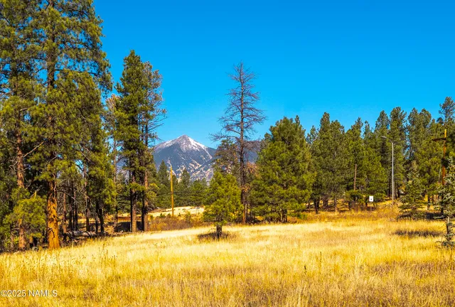 $1,500,000 | 3005 North Fort Valley Road, Flagstaff, AZ 86001