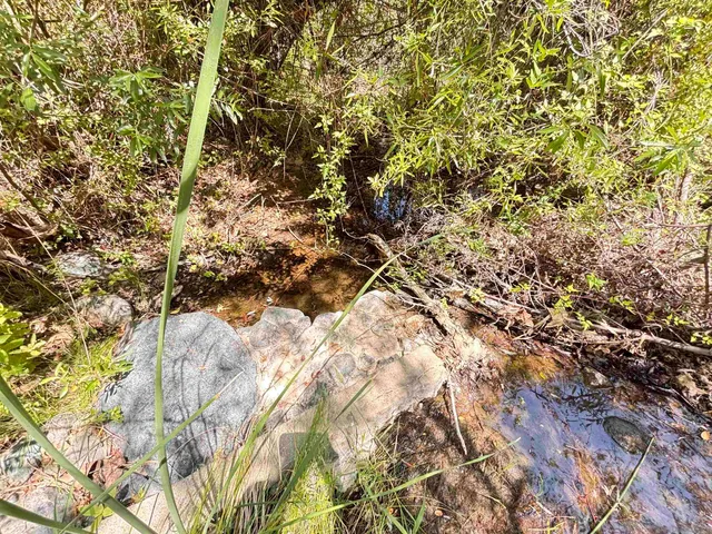 $299,000 | 222444 Hwy 94 Dulzura Ca, Potrero, CA 91963