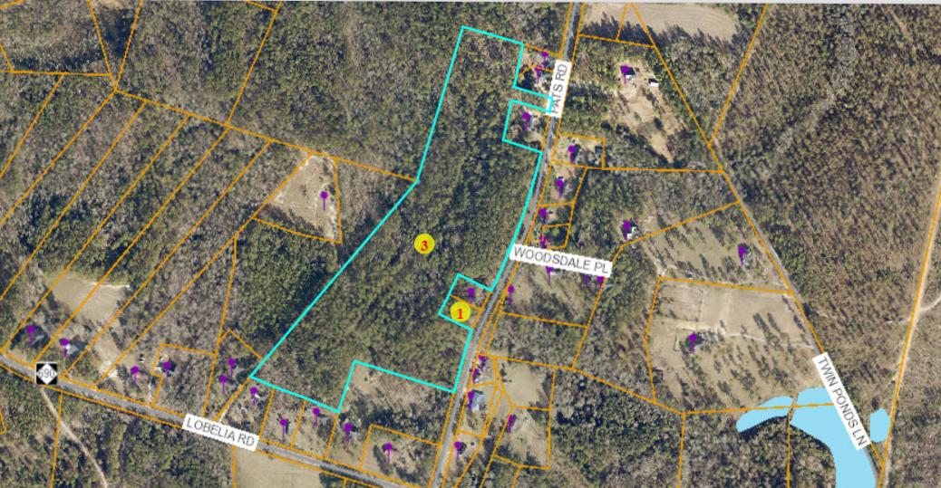 253 Pats Road Vass, NC 28394 - Photo 1 of 7 2020-03-10 (2)