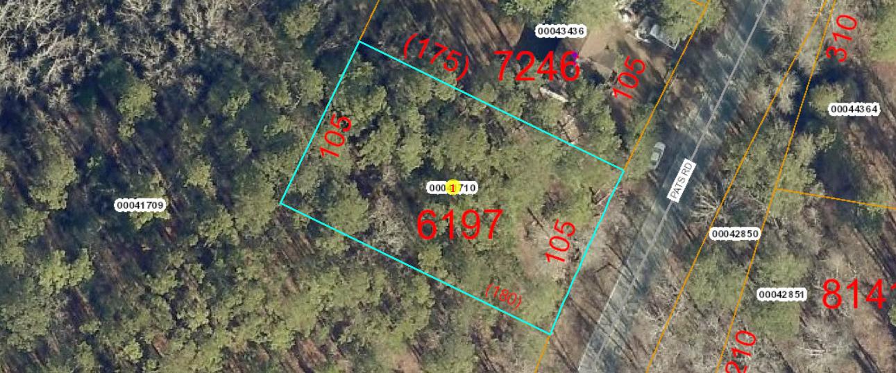 253 Pats Road Vass, NC 28394 - Photo 2 of 7 2020-03-10 (3)