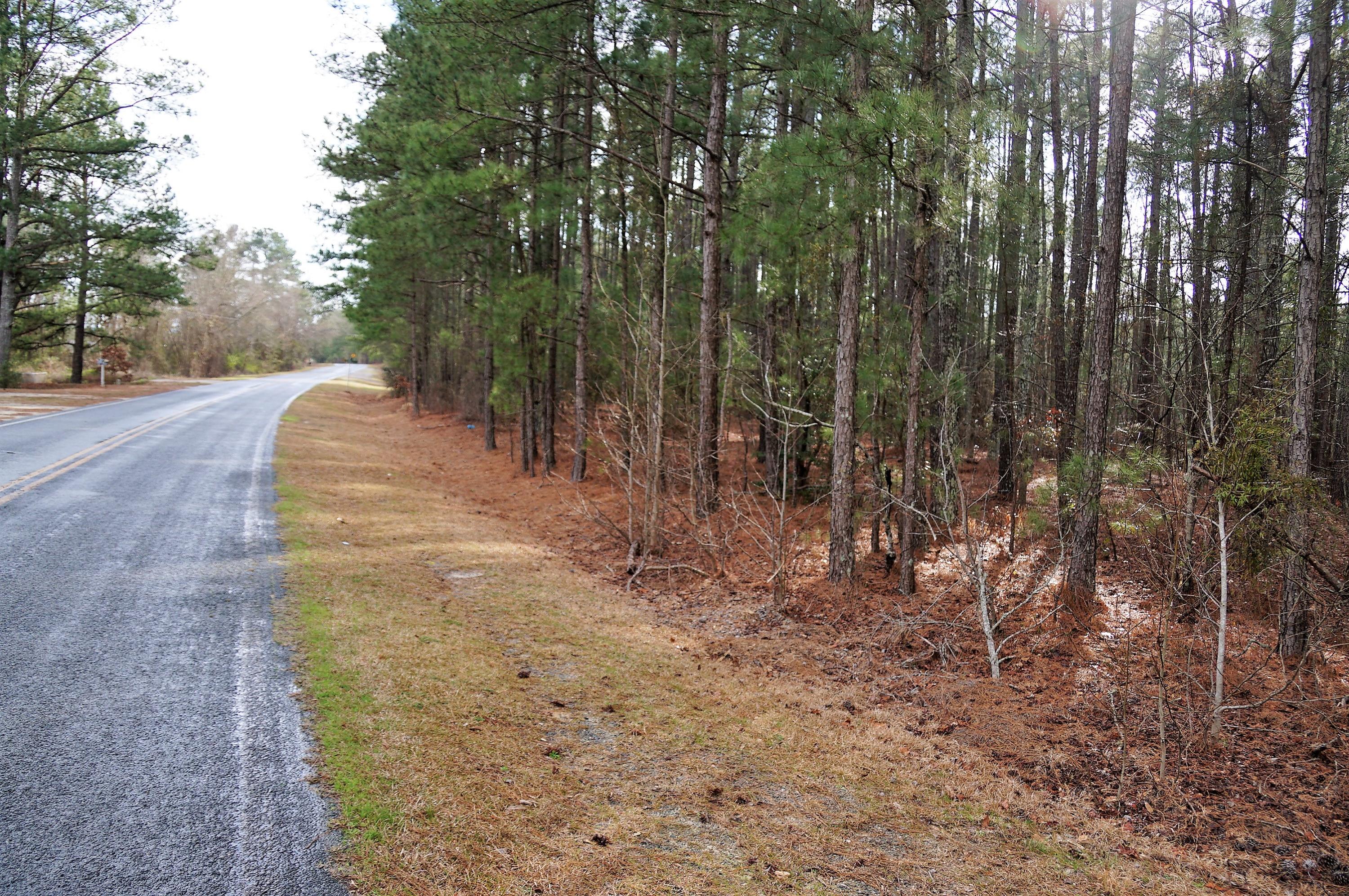 253 Pats Road Vass, NC 28394 - Photo 3 of 7 DSC01947 (2)