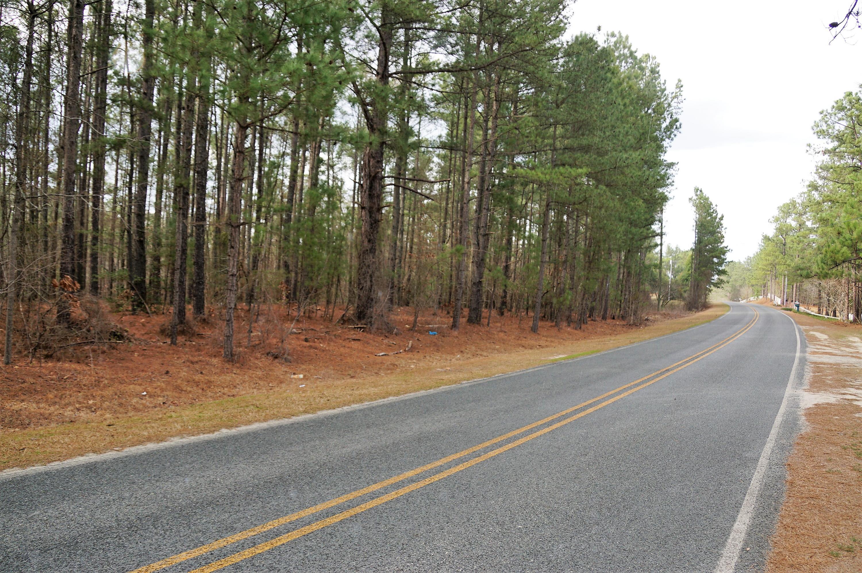 253 Pats Road Vass, NC 28394 - Photo 4 of 7 DSC01945 (2)