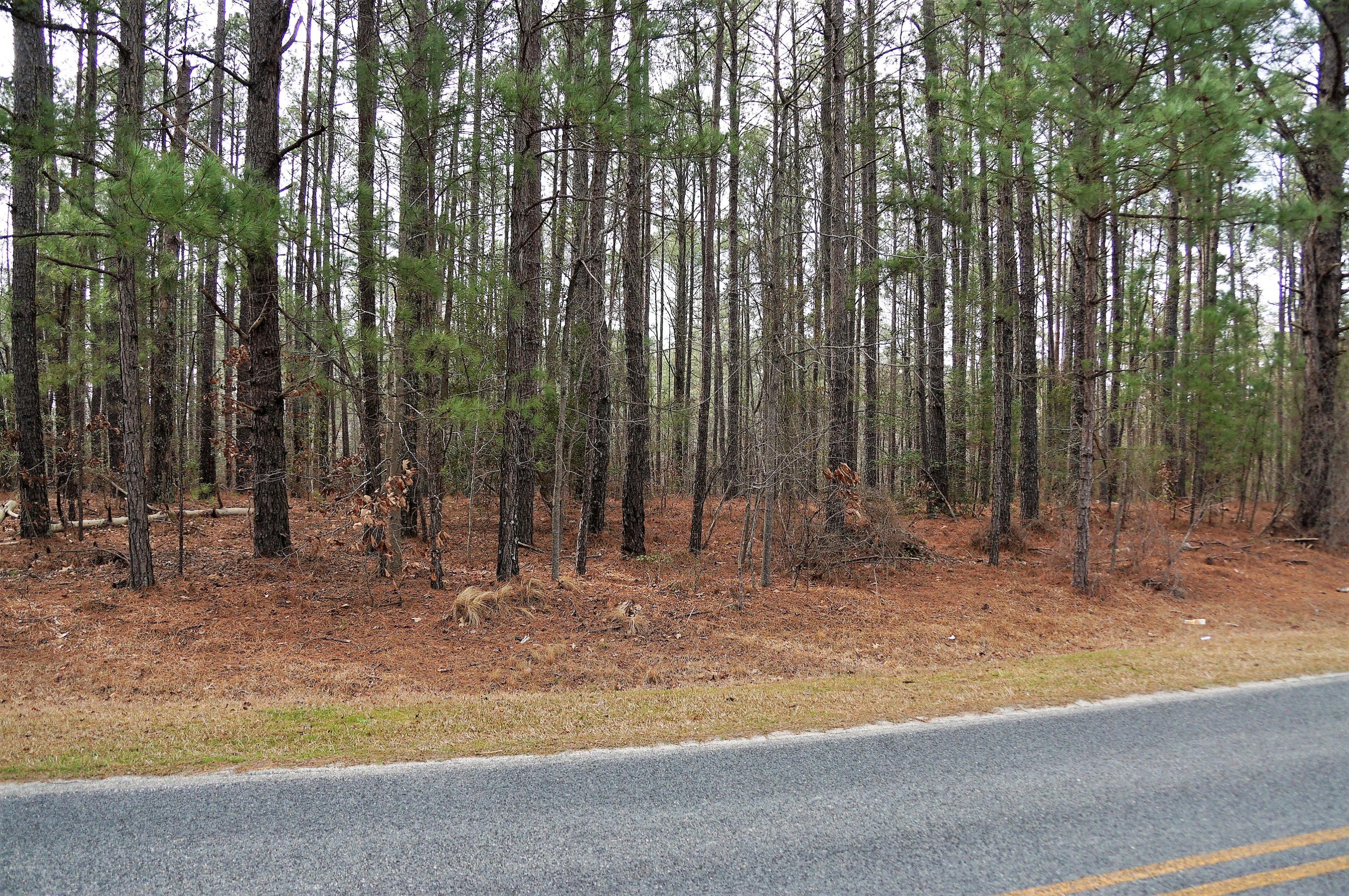 253 Pats Road Vass, NC 28394 - Photo 5 of 7 DSC01944 (2)