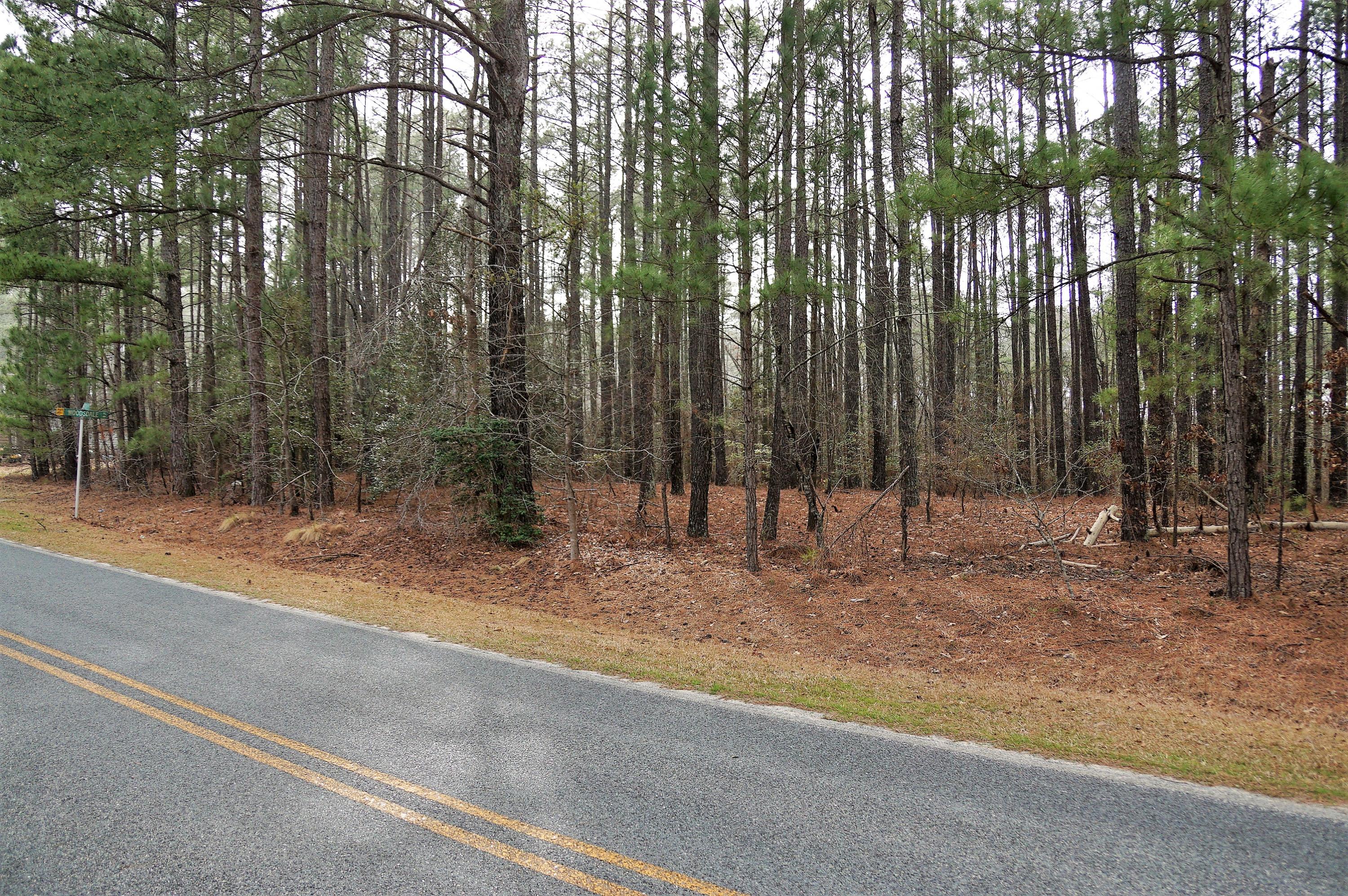 253 Pats Road Vass, NC 28394 - Photo 7 of 7 DSC01943 (2)