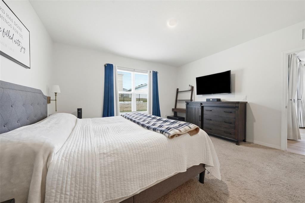 30309 Armenia Road Leesburg, FL 34748 - Photo 42 of 57