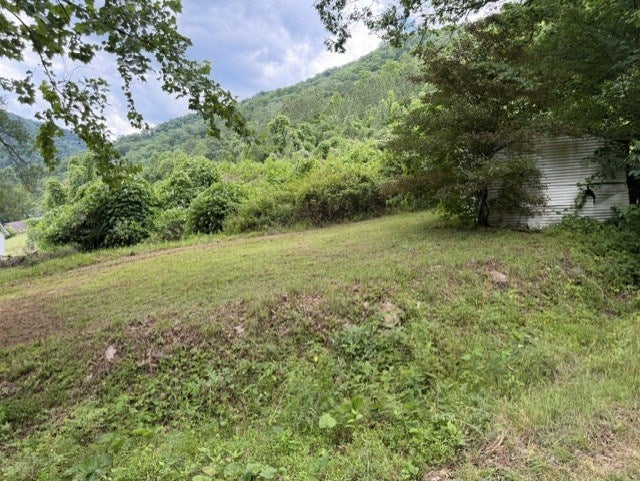 6975 Slate Creek Road Grundy, VA 24614 - Photo 3 of 20 Gallery Image 3