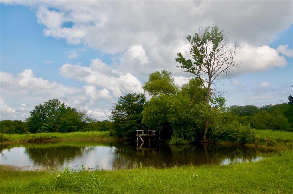 0 Reeves Road Pottsboro, TX 75076 - Photo 4 of 7 a view of a lake