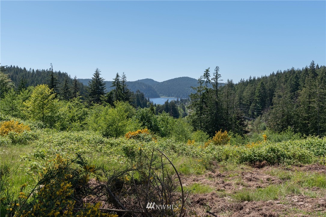 20 State Rte 20 Anacortes, WA 98221 - Photo 4 of 6 Gallery Image 4