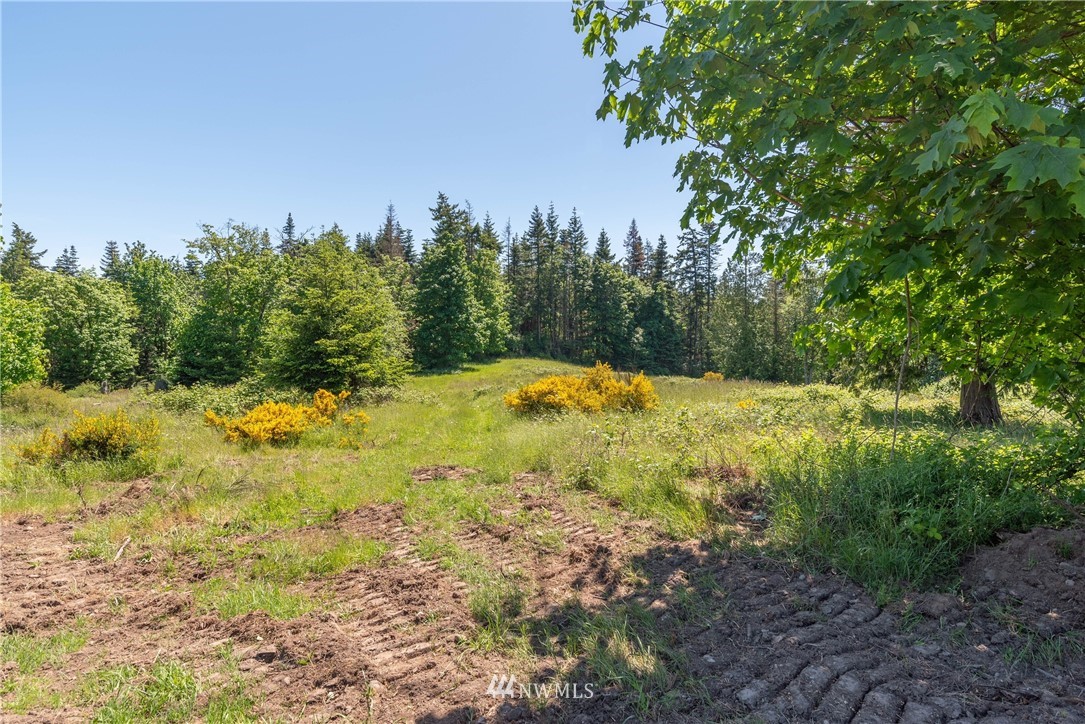 20 State Rte 20 Anacortes, WA 98221 - Photo 5 of 6 Gallery Image 5