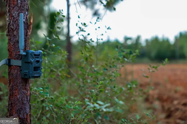 a view of a field with trees in background