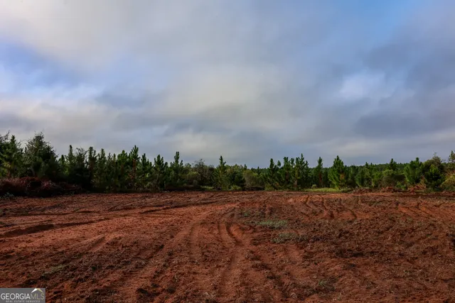 a view of a backyard of the house