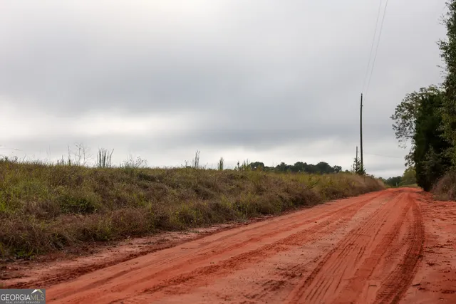 a backyard of a house with lots of trees