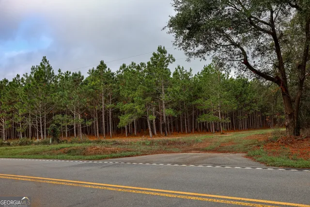 a view of a yard with an outdoor space