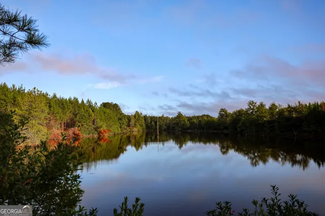 a view of outdoor space with green field and trees