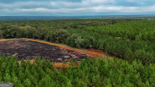 a view of a green field with lots of bushes