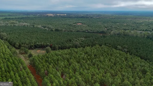 $2,608,000 | 45 South Americus Ga 31719 South, Plains, GA 31780