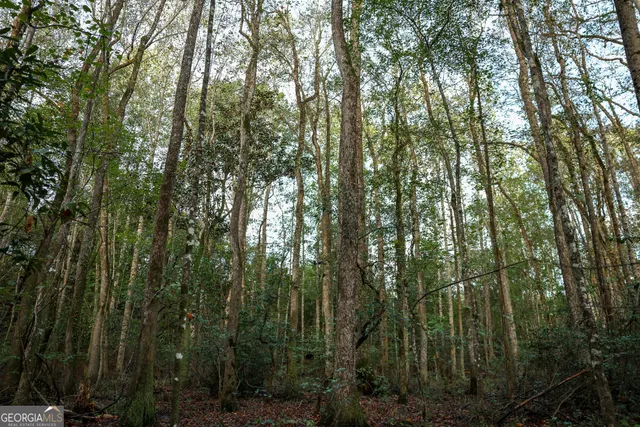 a view of outdoor space and green space