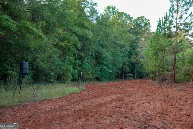 a palm tree sitting in front of a house