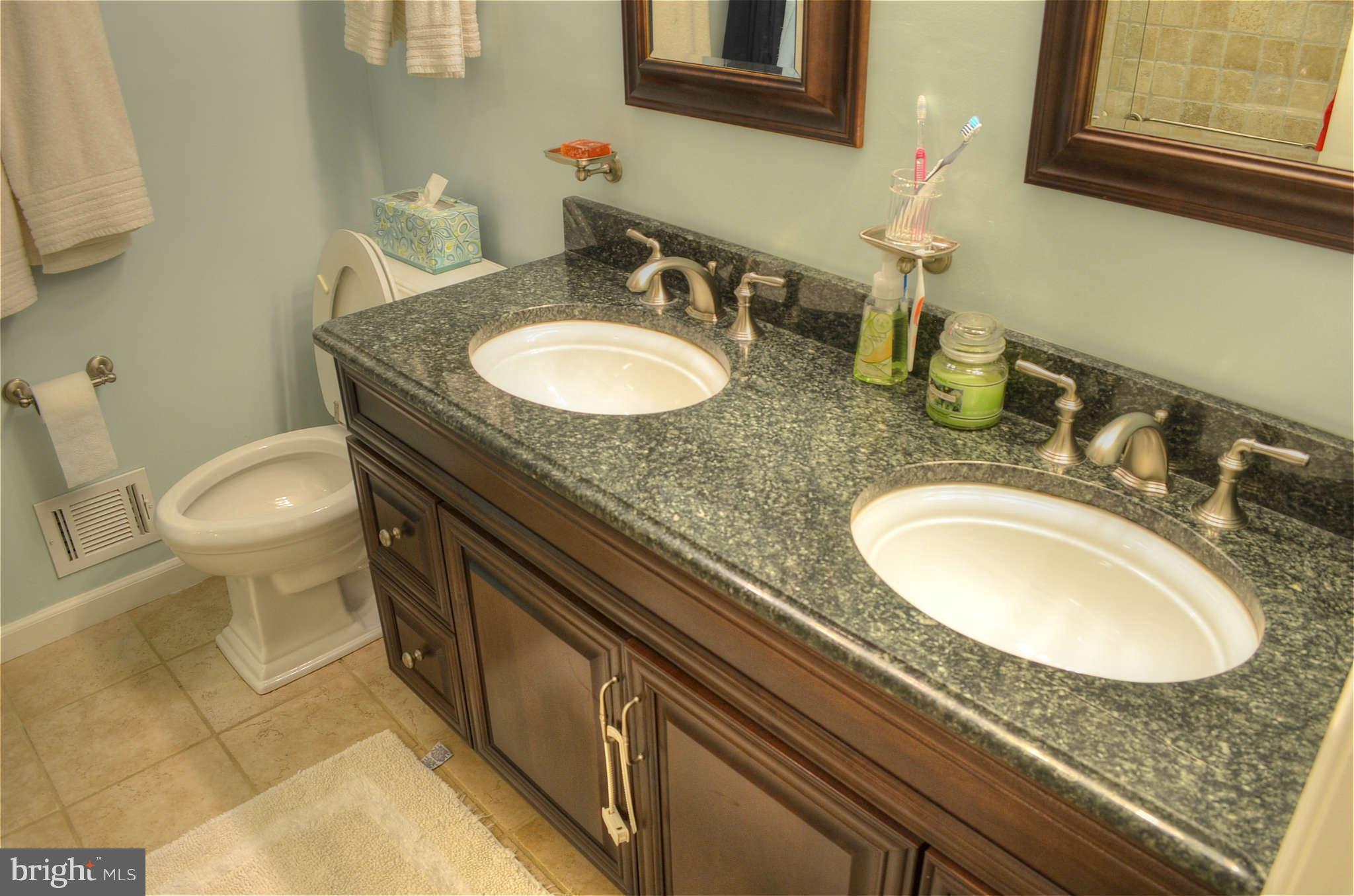 2510 Farrier Lane Reston, VA 20191 - Photo 10 of 26 Bath (Master)